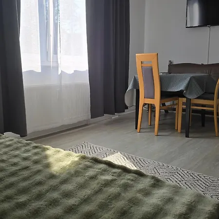 Rhein Living Business Lejlighed