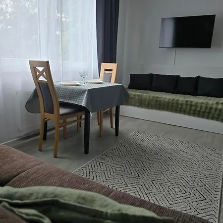 Rhein Living Business Apartmán *